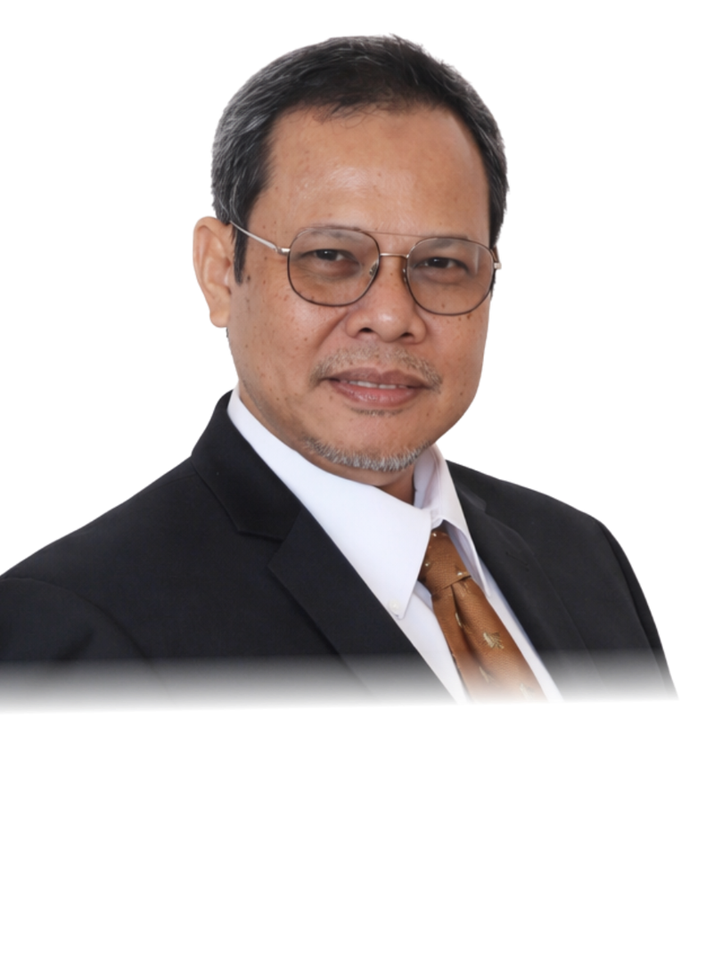 Ayub Amali